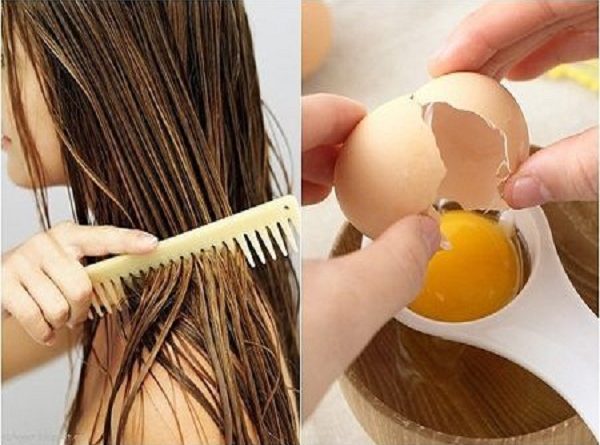 Phục hồi tóc hư tổn tại nhà bằng trứng gà