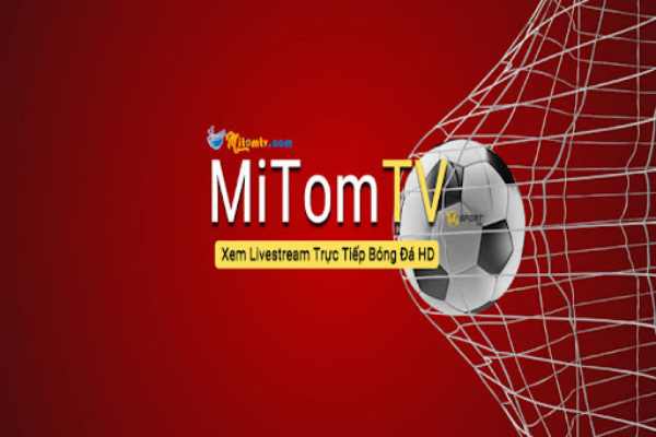 Giới thiệu về Mytom