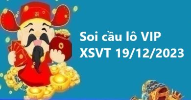 Soi cầu lô VIP XSVT 19/12/2023