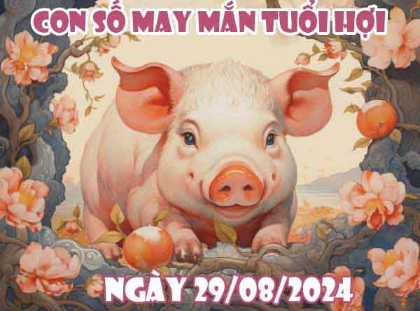 Thông tin con số may mắn tuổi Hợi ngày 29/8/2024 thứ 5 hôm nay