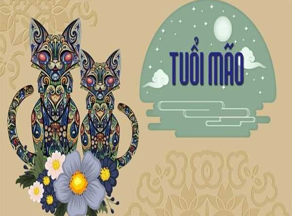 Cặp số đẹp cho tuổi Mão 20/2/2025 là số gì??