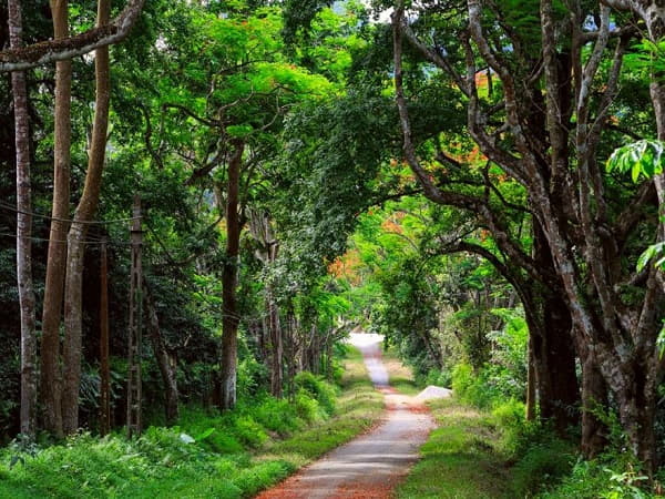 Tìm hiểu đặc điểm khí hậu và địa hình Cúc Phương